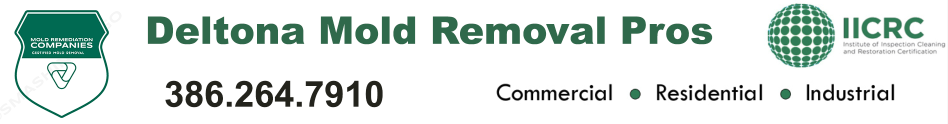 Deltona Mold Removal Pros