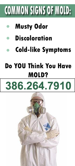 Deltona Mold Remediation Contractor